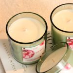Cranberry - Scented candles